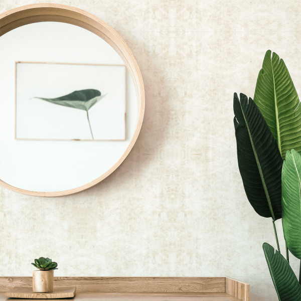 Warm Neutrals Sample Set Online - Image 3