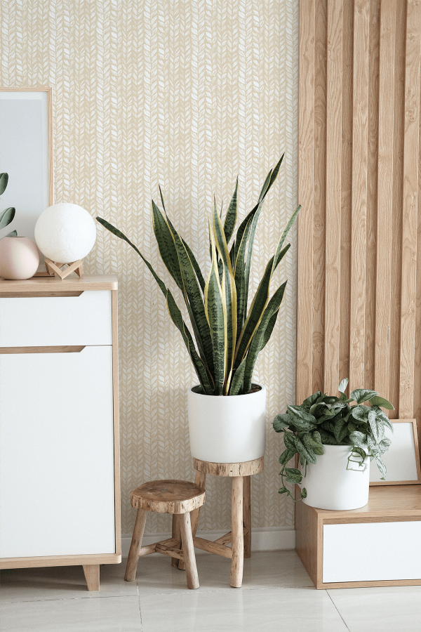 Warm Neutrals Sample Set Online - Image 2